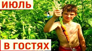 В ГОСТЯХ у МЕНЯ НА ОГОРОДЕ 15 ИЮЛЯ ЛЕНИНГРАДСКАЯ ОБЛАСТЬ