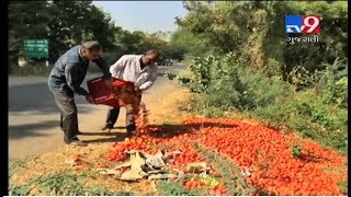 Farmers throw tomatoes on road after being paid unfair price in Gujarat-Tv9