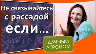 Не связывайтесь с рассадой, если…