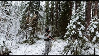 В ТАЙГУ ПО ПЕРВОМУ СНЕГУ. СЛЕД МЕДВЕДЯ. ОХОТА В ТАЙГЕ