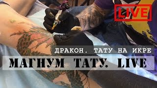Дракон. Тату на икре. Прямая трансляция