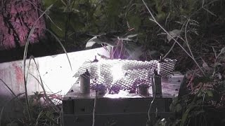 Wasp Zapper  [part 3]   Exploding Wasps