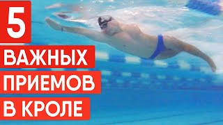 ПЛАВАНИЕ КРОЛЕМ: 5 ВАЖНЫХ ПРИЕМОВ