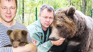 Человек и Медведь. Пример безусловной любви и настоящей дружбы?