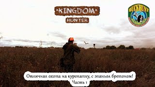 Отличная охота на куропатку, с эпаньол бретоном!  Часть1.