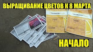 Подготовка к следующему сезону и к 8 марта!