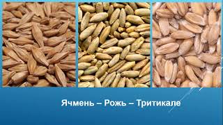 Агрономия для чайников
