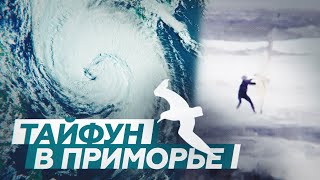 Виндсёрфер в бушующем море и летающие крыши: очевидцы публикуют видео с тайфуном «Майсак» в Приморье