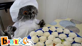 Кот Басик на кухне.Анекдот от кота Басика