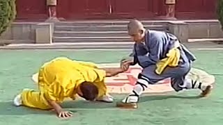 Kung Fu fighting: 32 catches (qin na)