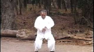 Wu Tai Chi Chuan - Part 1