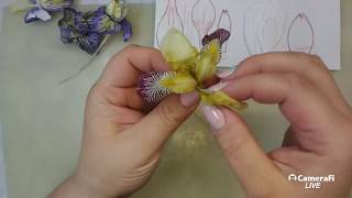 МК Ирисы для скрапбукинга