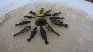 Рыбалка На Мормышку #рыбалка#первыйлёд#деревня#рыбалкавдеревне#