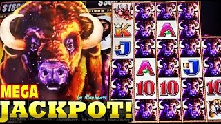 ★CRAZY WINS JACKPOTS!!!★ BEST of BUFFALO STAMPEDE slot machine WINS!