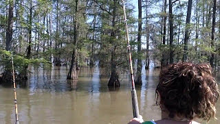 BIG SANTEE COOPER BLUE CATFISH
