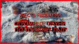 ЖЕСТЬ РЫБАЛКА.ЛОВЛЯ ОГРОМНОГО ОКУНЯ НА МОРМЫШКУ ПО ТОНКОМУ ЛЬДУ