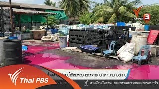 สั่งปิดโรงงานปล่อยน้ำสีชมพูลงคลองสาธารณะ จ.สมุทรสาคร (20 เม.ย. 61)