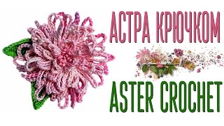 Вяжем цветок Астра крючком по схеме. How to crochet the Aster flower+diagram.