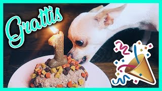 BELLES FÖRSTA KALAS | vlogg