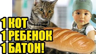 МАЛЫШ и КОТ ЕДЯТ БАТОН. Смешные коты и дети кушают! Маленький ребенок против кота)))