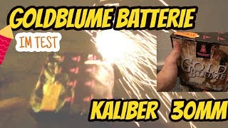 Fette Kaliber 30 Batterie - Röder Goldblume - GEISHA Feuerwerk