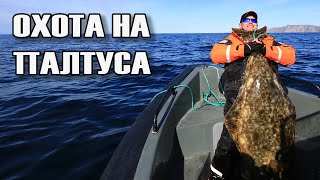 Ловля палтуса. Проверенные способ ловли.