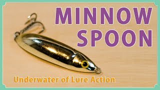 Underwater of Minnow Spoon / RAPALA ミノースプーンの水中映像