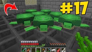 СДЕЛАЛ ФЕРМУ С ЧЕРЕПАХАМИ, ОБУСТРОИЛИ СКЛАД И ПРОДОЛЖИЛИ ЗАЧАРОВАНИЯ! MINECRAFT ВЫЖИВАНИЕ #17