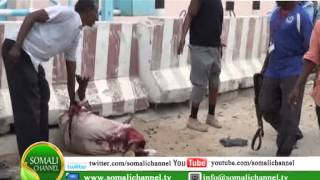Qarax ka dhacay xarunta UNDPda ee Magalada Muqdisho  19 06 2013