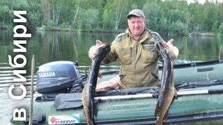 Самый уловистый способ ловли щуки! Как ловить щуку!