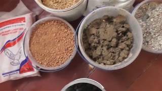 Минералка для голубей своими руками. Mineral feed for pigeons  14.02.19