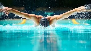 Техника плавания баттерфляем и дельфином