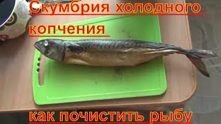 Скумбрия холодного копчения как почистить рыбу