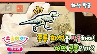 공룡 화석발굴 - 공룡 화석을 발굴하자! | 무슨 공룡의 화석일까? | 화석 발굴 놀이 | 크앙과 함께 하는 장난감 놀이 | 공룡 장난감 놀이 | 공룡 발굴