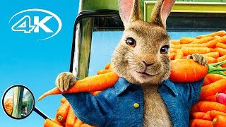 Кролик Питер 2 - Большой русский трейлер (4K ULTRA HD) | Фильм 2020