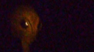 UFO Sightings Aliens Abduct Two Girls For Hybrid Breeding! Shocking Claims Watch Now!