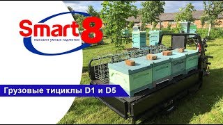 Грузовые электрические трициклы D1 и D5, обзор - smart8.by