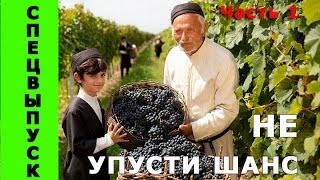 ВИНОГРАД ОБРЕЗКА ВЕСНОЙ / ПРАВИЛЬНОЕ РАСПОЛОЖЕНИЕ НА ШПАЛЕРЕ ДЛЯ БОЛЬШОГО ЗДОРОВОГО УРОЖАЯ