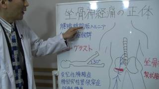「坐骨神経痛」【吉田たかよし】９０秒でわかる 医学解説その47