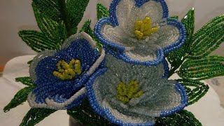 Цветы из бисера. М.К.петунии красотунии из бисера.ОЛЬГА М.