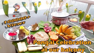 தைப்பொங்கல் Pongal Celebration at balcony in home / Pongal Recipe /தமிழ் பண்டிகை Indian festival