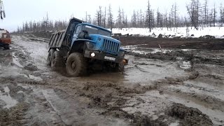 Дороги севера