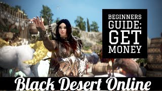 Black Desert Online [BDO] Beginners Guide: Make Up to 30 Mil Per Hour With 100AP
