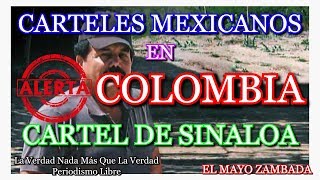 ?CAUCA CARTELES MEXICANOS CARTEL DE SINALOA EN COLOMBIA