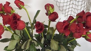 Как оживить увядшие розы