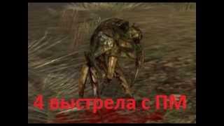 Где искать артефакты новичкам СТАЛКЕР онлайн
