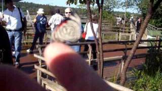 Cataratas del Iguazu-Водопады Игуасу в Аргентине
