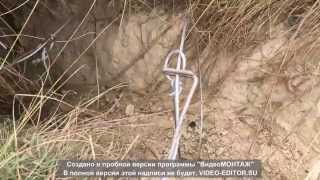 Как правильно ставить петли на Барсука!