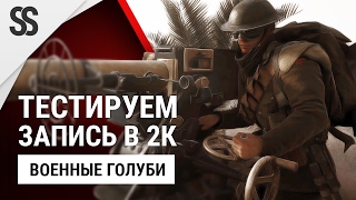 Battlefield 1 - Тестируем запись в 2К (Военные голуби)