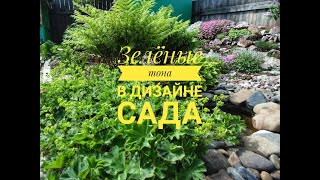ЗЕЛЕНЫЕ ТОНА В ДИЗАЙНЕ САДА